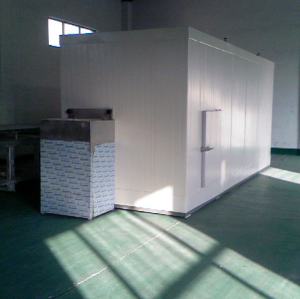 Maximize Efficiency with China's Affordable Fluidized IQF Freezer for Green Bean Processing