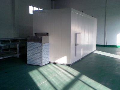 China cost-effective Fluidized bed IQF freezer for freeze fries processing line 500kg/h