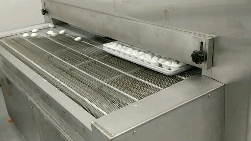 China small type Tunnel Freezer for Fish and Shrimp install convenient