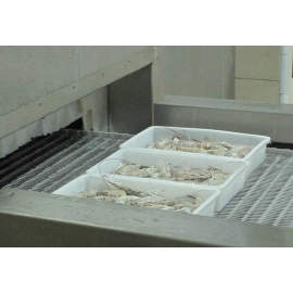 Aumente su producción de alimentos con el rentable congelador en espiral FSL500 de China: perfecto para dumplings congelados