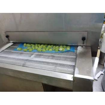 First cold chain 200kg/h  tunnel freezer for avocadoes freeze from China