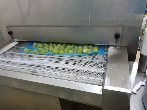 First cold chain 200kg/h  tunnel freezer for avocadoes freeze from China