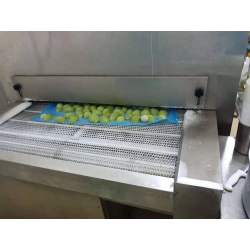 First cold chain tunnel freezer 200kg/h  for avocadoes freezer from China