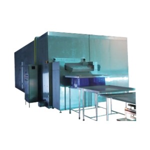 China High Quality IQF freezer FSLD1000 / Fluidized Bed Freezer for Vegetables
