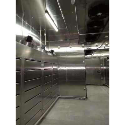 China Low Temperature high humidity Thawing Machine for Beef or pork