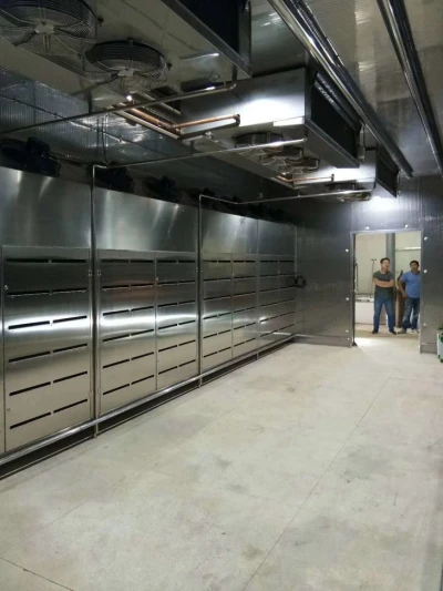 High quality Frozen Meat Food Thawing Room / Machine