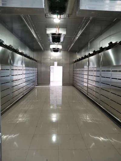 Meat  Defroster with China Low Temperature high humidity thawing machine