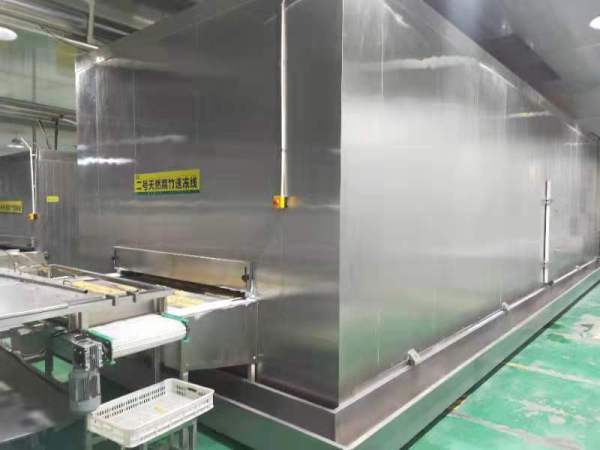 Customized Industrial Tunnel Freezer/Impingement Freezer/IQF Tunnel Freezer