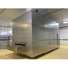 first cold chain impingement linear freezer product in Mexcio