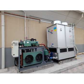 Frozen Chicken with tunnel freezer compressor Condensing Unit from China first cold chain