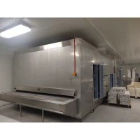 IQF tunnel freezer FSW500 export Mexcio