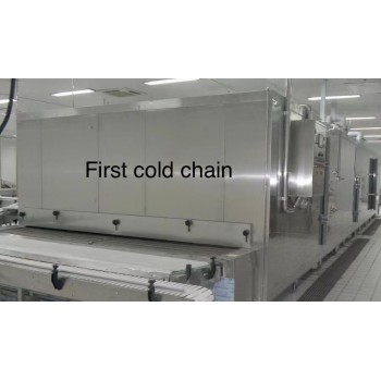 China FST Tunnel cooler for Food Industry processing quick cooling 400kg/h