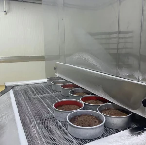 Experience Unmatched Freezing Efficiency with China's Top IQF Freezer Supplier for Pizza and More