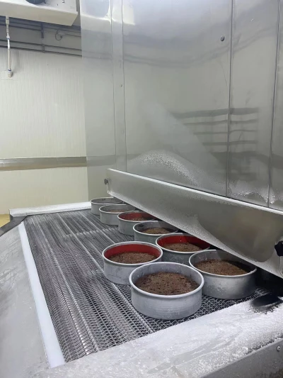 China's Leading IQF Freezer Supplier: Impact Tunnel Freezer for Perfect Dough Freezing and More
