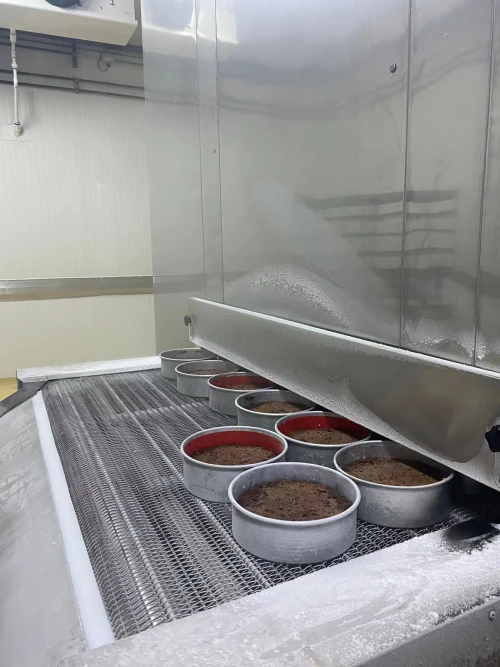 Highly Efficient Impingement Tunnel Freezer for Freeze cake-China's Leading First Cold Chain Expert