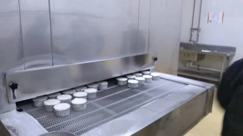 High-Quality ODM Impingement Tunnel Freezer for Seafood Factories and Frozen Food Processing