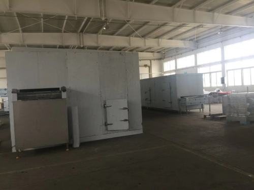 China selling well all over world Individual quick frozen/ IQF freezer for Strawberries