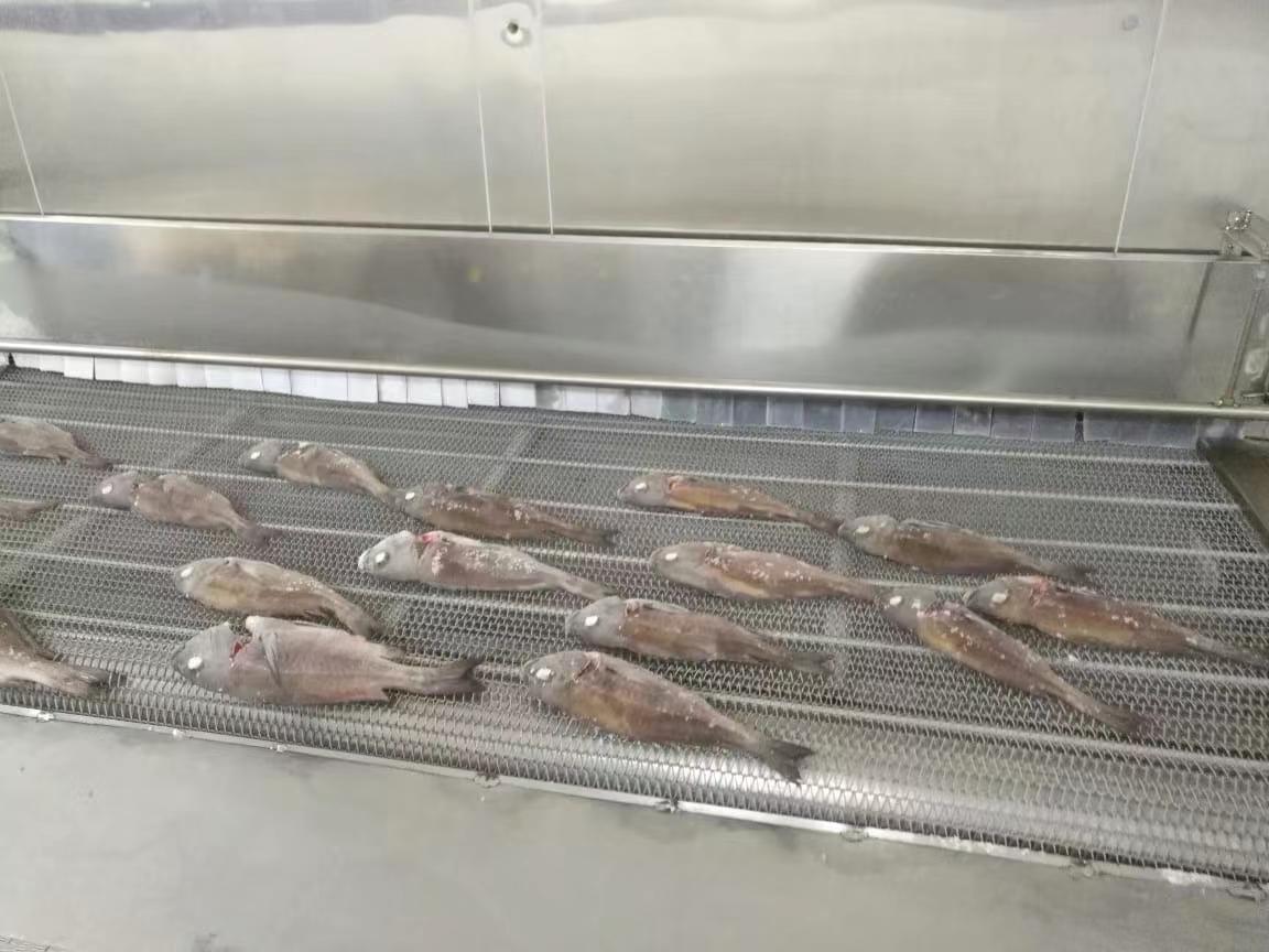 tunnel freezer for fish 