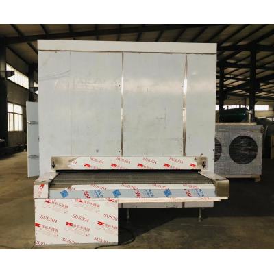 IQF tunnel freezers for freeze food in China first cold chain