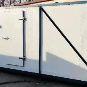 High effective Blast freezer 200kg/h install convenient