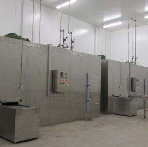 China High Quality FDSL Series Double Spiral Freezer for frozen cake and bakery etc