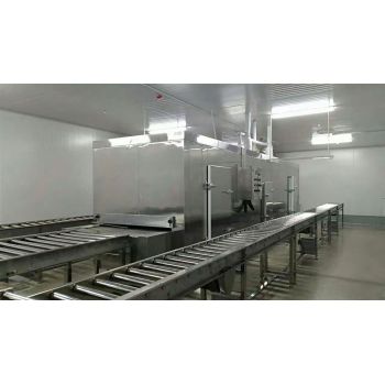 IQF tunnel freezers for freeze food in China first cold chain