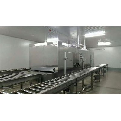 IQF tunnel freezers  for freeze food in China first cold chain