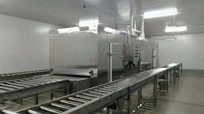 IQF tunnel freezers  for freeze food in China first cold chain
