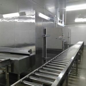 China FYW500 Tunnel cooling Machine for Food Industry processing quick cooling  export Mexcio