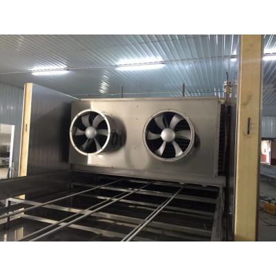 High-Performance FSW Series Tunnel Freezer for Fish - Ideal for Seafood Factories, OEM Available