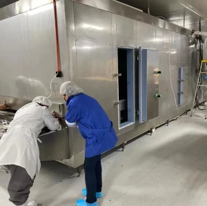 IQF Tunnel Freezers | Advanced Freezing Technologies from first cold chain freeze dumplings