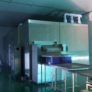 Maximize Efficiency with China's Affordable Fluidized IQF Freezer for Green Bean Processing