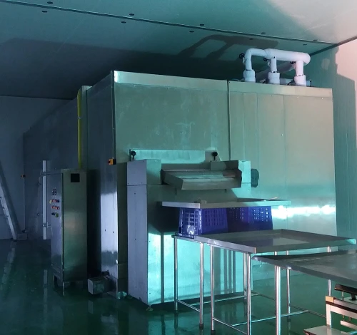 Maximize Efficiency with China's Affordable Fluidized IQF Freezer for Green Bean Processing