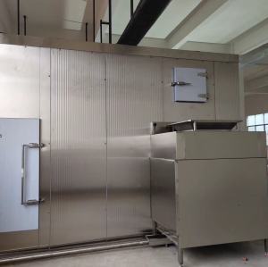 High-Quality IQF Freezer for Vegetables, Fruits, and French Fries - Your Solution for Quick Freezing