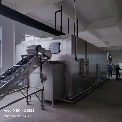 Wholesale IQF Freezer Supplier: Accelerate Your Factory's Frozen French Fries Production Line