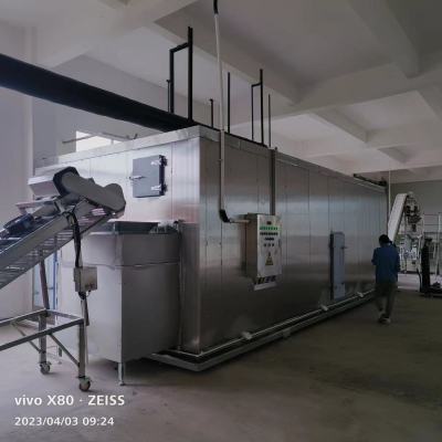 Revolutionize Your Business with Fluidized IQF Freezer for IQF Fruit and Vegetable Processing