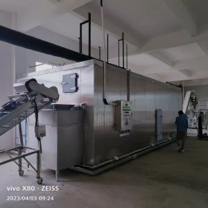 Revolutionize Your Business with a Fluidized IQF Freezer for Fruit and Vegetable Processing - Global Importers Welcome