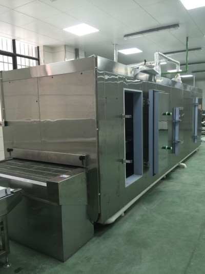 High-Performance FSW Series Tunnel Freezer for Fish - Ideal for Seafood Factories, OEM & ODM Available