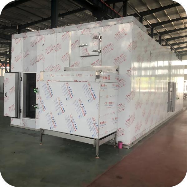 Efficient Frozen French Fries processing line with IQF Freezer - Wholesale Distributor