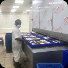 FIRST COLD CHAIN's FSW1000 Tunnel Freezer System Launches in Yemen, Empowering Burum Seafood to Tap into Global Markets