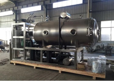 Excellent vacuum food Freeze Dryer for Fruit and Vegetable processing