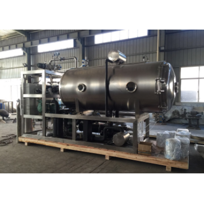 Excellent vacuum food Freeze Dryer for Fruit and Vegetable processing