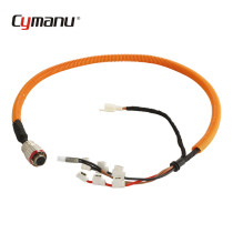 Custom Auto Cable Assembly Automotive Wiring Harness