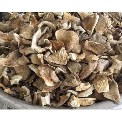 Gaishi dried oyster mushroom