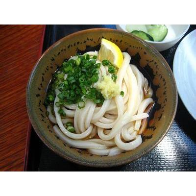 Gaishi japanese frozen ramen noodle wholesale