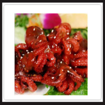 Gaishi Frozen Seasoned Baby Octopus