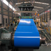 ppgi , galvanized color coated metal sheet in coil / steel coils