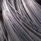 galvanized high carbon steel wire rod in coil
