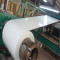 PPGI Coils, Color Coated Steel Coil, RAL9002 White Prepainted Galvanized Steel Coil