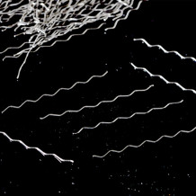 W-LCS  Waved Steel Fiber for Reinforcement Concrete